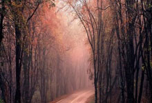 阿森纳中后场密不透风，完美守住胜局