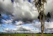 法国球员状态不佳，险胜瑞士，庆幸晋级：一场足球的挫折与希望