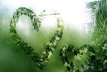 阿森纳中后场密不透风，完美守住胜局